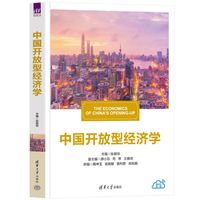 中国开放型经济学