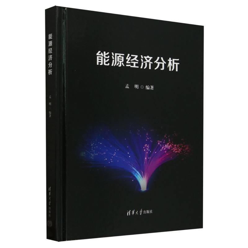 能源经济分析