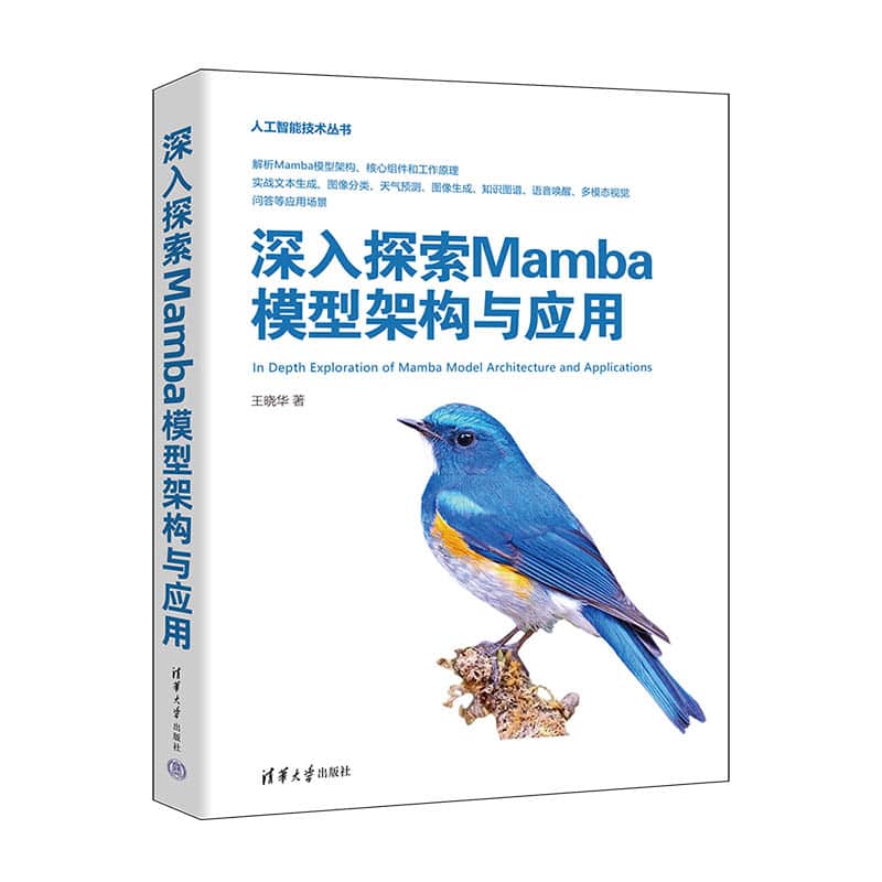 深入探索Mamba模型架构与应用