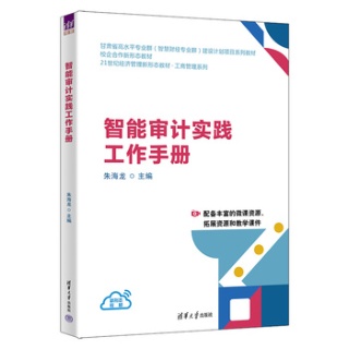 智能审计实践工作手册