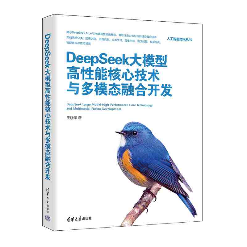 DeepSeek大模型高性能核心技术与多模态融合开发
