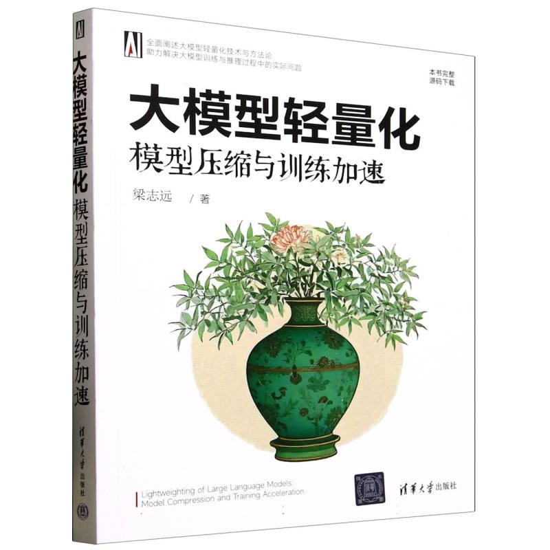 大模型轻量化：模型压缩与训练加速