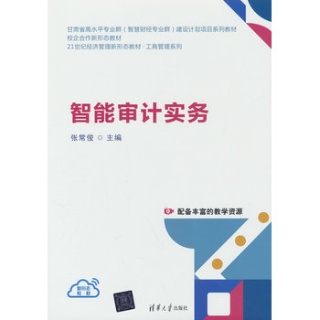 智能审计实务