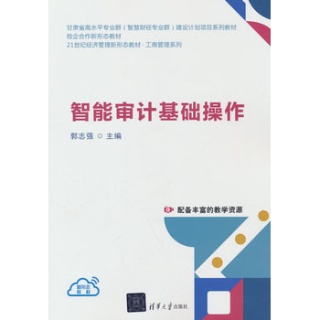 智能审计基础操作
