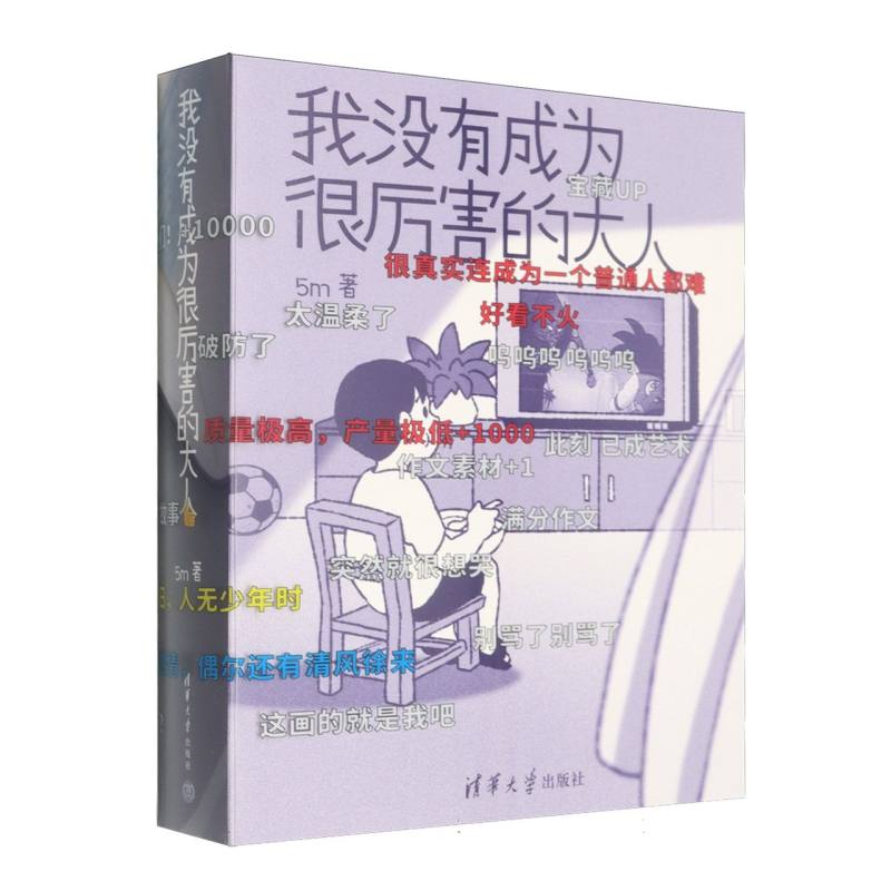 我没有成为很厉害的大人