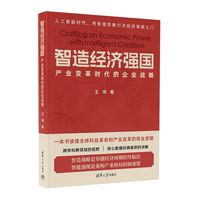 智造经济强国——产业变革时代的企业战略: