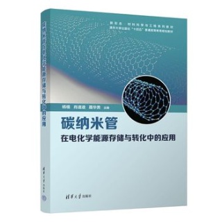 碳纳米管在电化学能源存储与转化中的应用