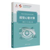 视觉心智计算