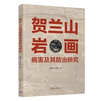 贺兰山岩画病害及其防治研究