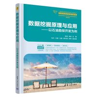 数据挖掘原理与应用——以石油勘探开发为例