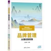 品牌管理——从理论到实践