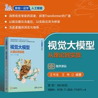 视觉大模型——从理论到实践