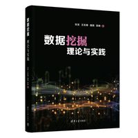 数据挖掘——理论与实践