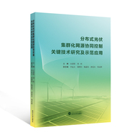 分布式光伏集群化网源协同控制关键技术研究及示范应用
