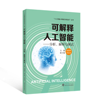 可解释人工智能——分析、解释与测试
