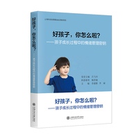 好孩子，你怎么啦？：孩子成长过程中的情绪管理密钥