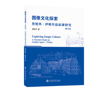 图像文化探索——詹妮弗·伊根作品叙事研究