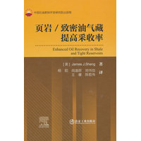 岩/致密油气藏提高采收率