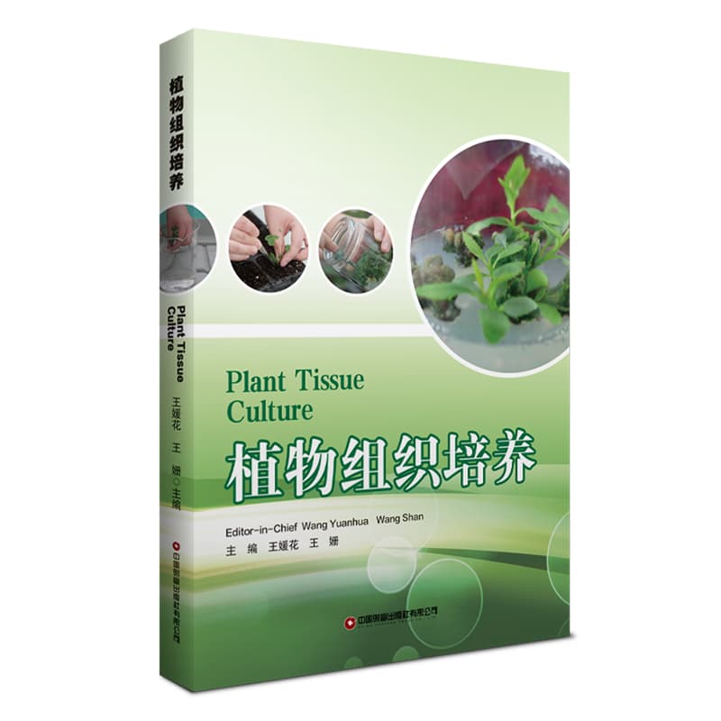 植物组织培养
