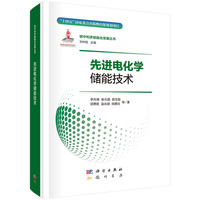 先进电化学储能技术