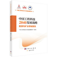 中国工程科技2040发展战略·能源与矿业领域报告