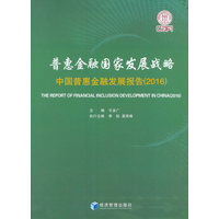 普惠金融国家发展战略：中国普惠金融发展报告