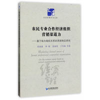 农民专业合作经济组织营销渠道力——基于纵向组织关系的西部地区的研究