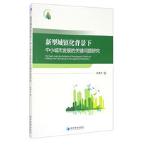 新型城镇化背景下中小城市发展的关键问题研究