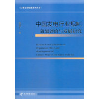 中国发电行业规制效果评价与发展研究