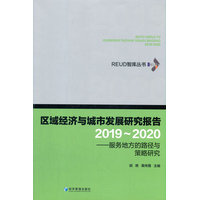 区域经济与城市发展研究报告·2019-2020：服务地方的路径与策略研究