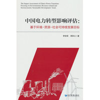 中国电力转型影响评估——基于环境资源社会可持续发展目标
