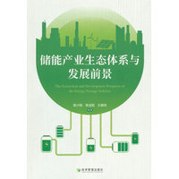 储能产业生态体系与发展前景