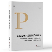 公共安全多元协同治理研究