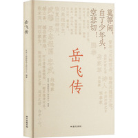岳飞传