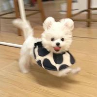 数字中国学习辅导