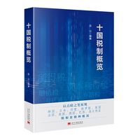 十国税制概览