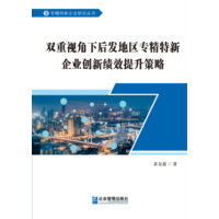 双重视角下后发地区专精特新企业创新绩效提升策略