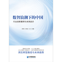数智浪潮下的中国——行业创新案例与未来启示