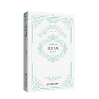 逆光飞翔