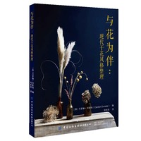 与花为伴——现代干花风格整理