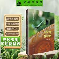 和虫虫面对面