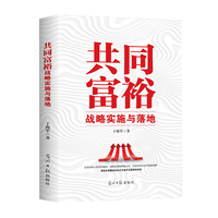 共同富裕——战略实施与落地