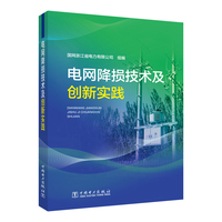 电网降损技术及创新实践