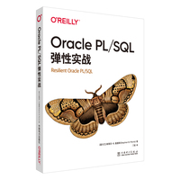 Oracle PL/SQL弹性实战