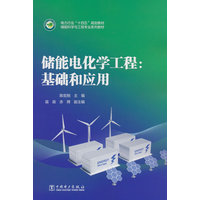 储能电化学工程——基础和应用