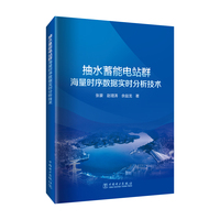 抽水蓄能电站群海量时序数据实时分析技术