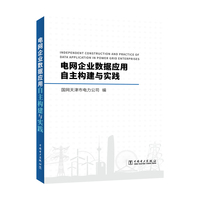 电网企业数据应用自主构建与实践