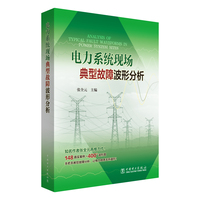电力系统现场典型故障波形分析