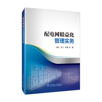 配电网精益化管理实务