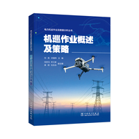 机巡作业概述及策略